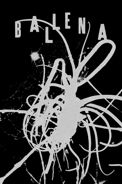 Ballena poster
