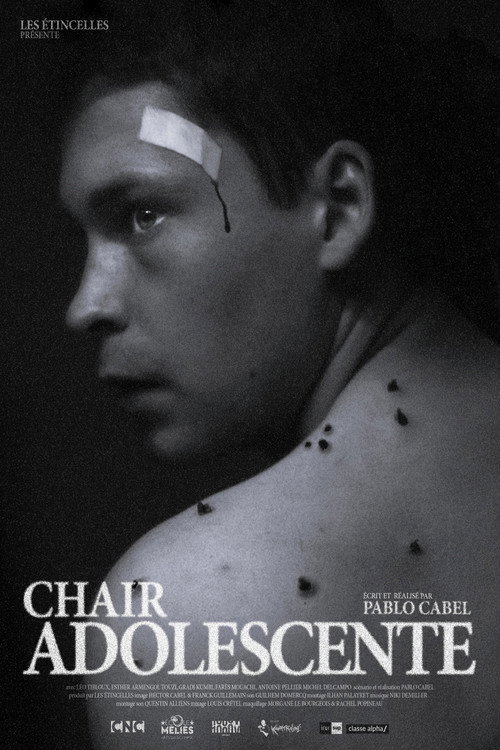 Shard poster