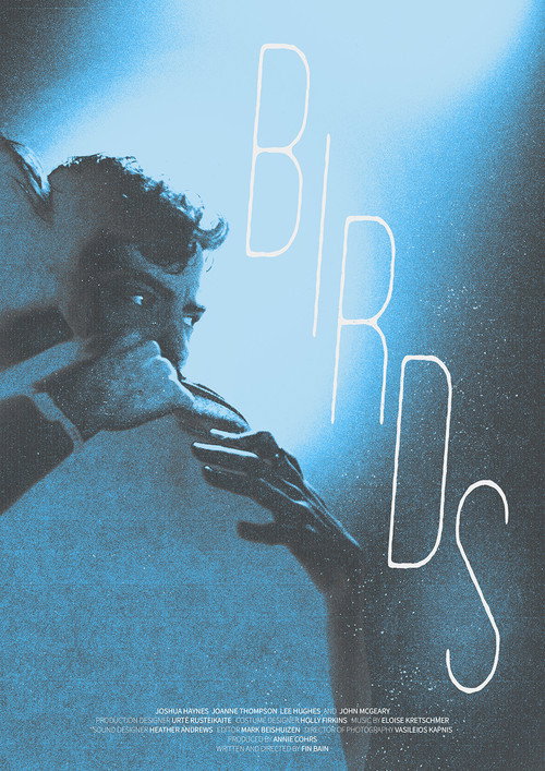 Birds poster