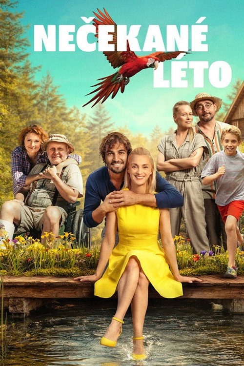Nečekané léto poster