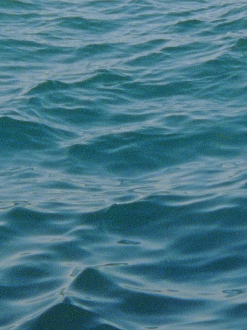 Water Diary poster