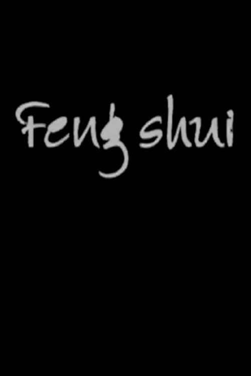 Feng Shui poster