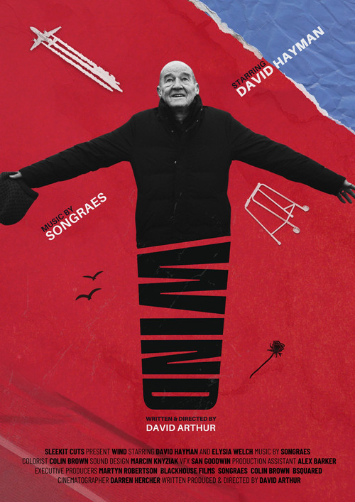 Wind poster