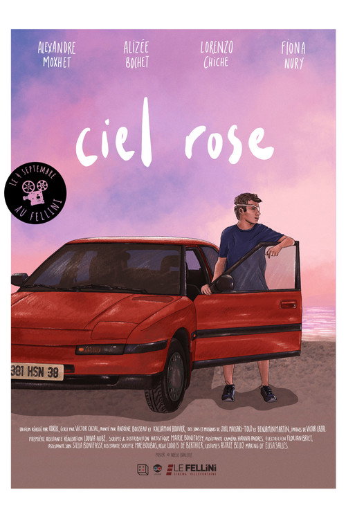 Summer Skies poster