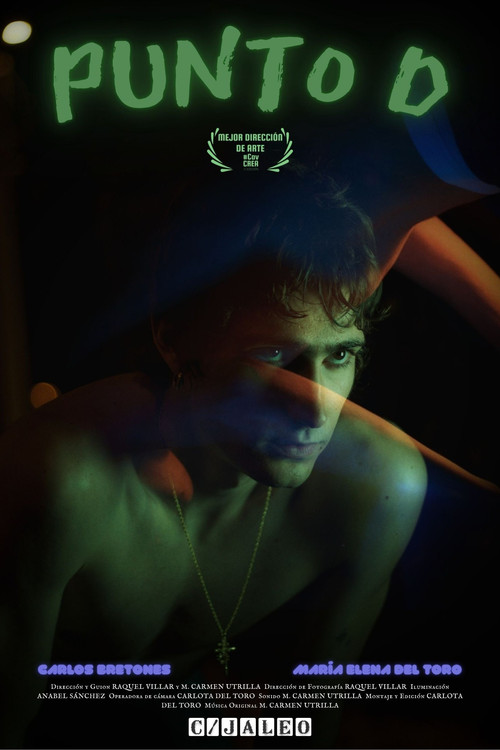 Punto D poster