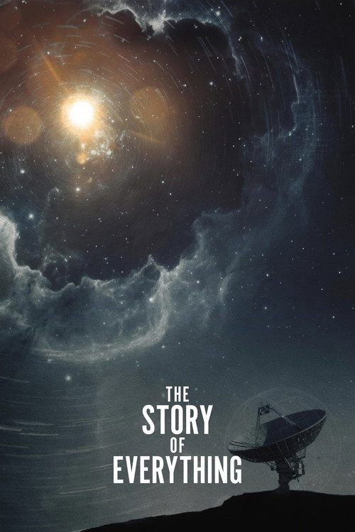 The Story of Everything poster