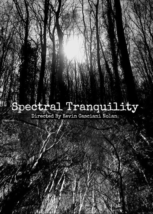 Spectral Tranquility poster