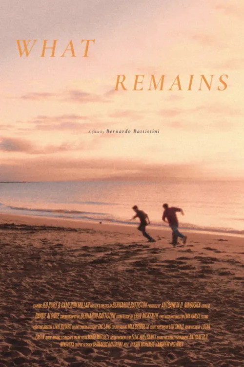 What Remains poster