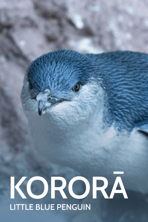 Kororā: Little Blue Penguin poster