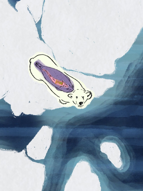 Arctic Shifts poster