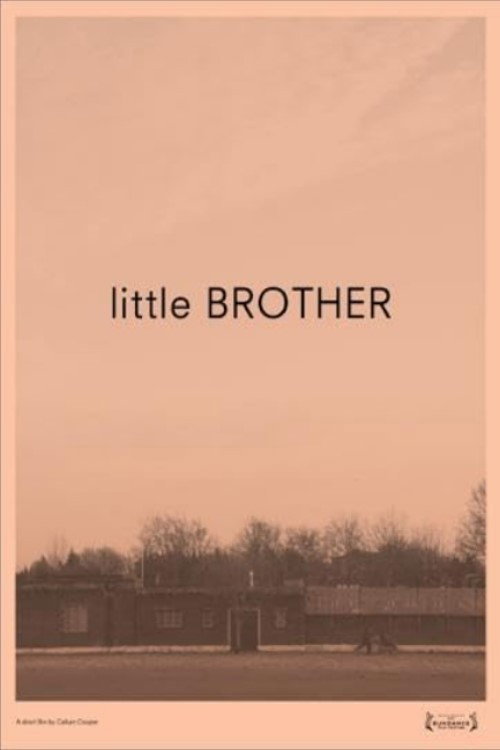 Little Brother poster