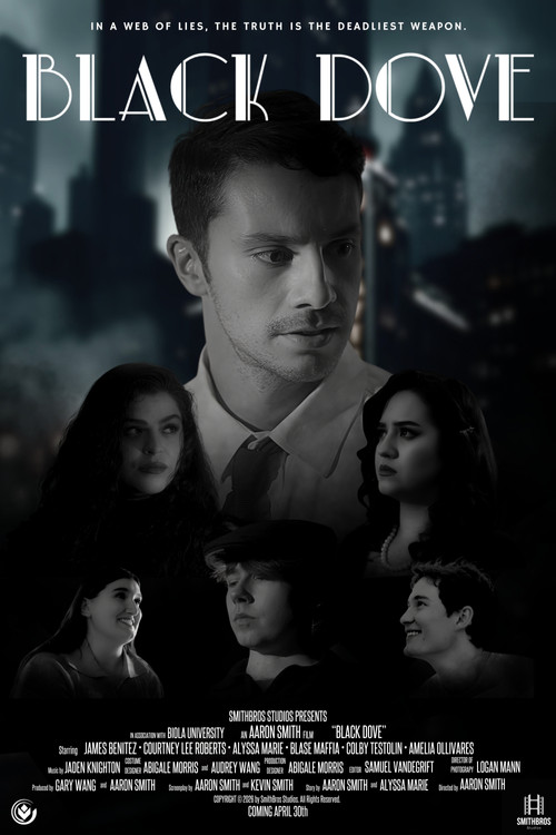 Black Dove poster