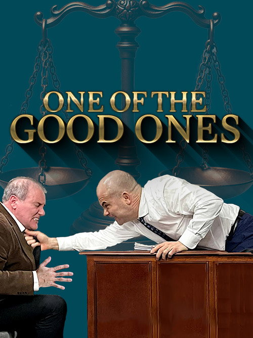 One of the Good Ones poster