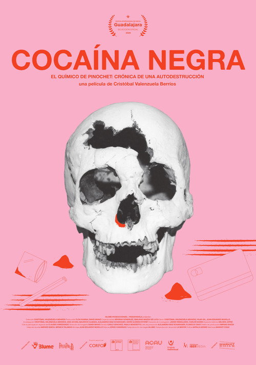 Black Cocaine poster