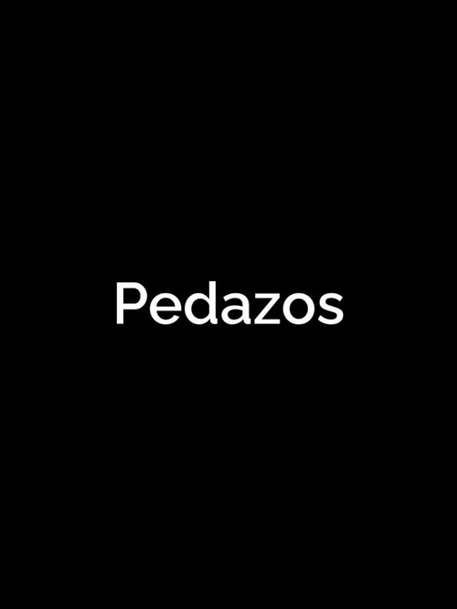 Pedazos poster