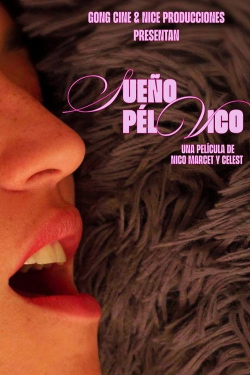 Pelvic Dream poster