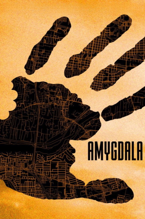 AMYGDALA poster