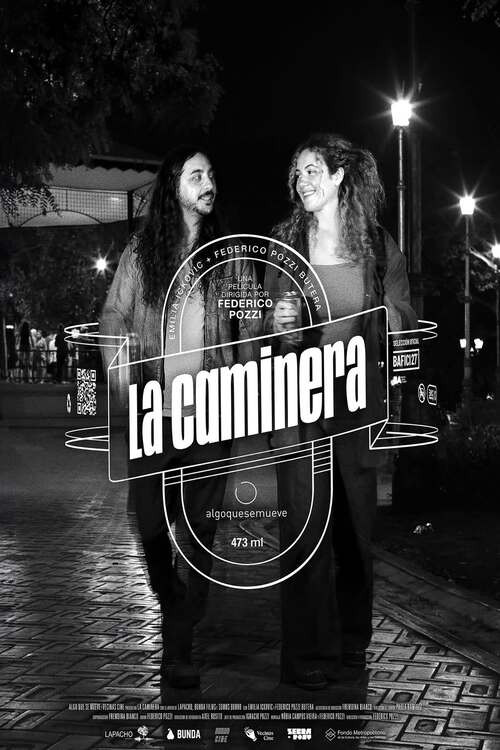 La caminera poster