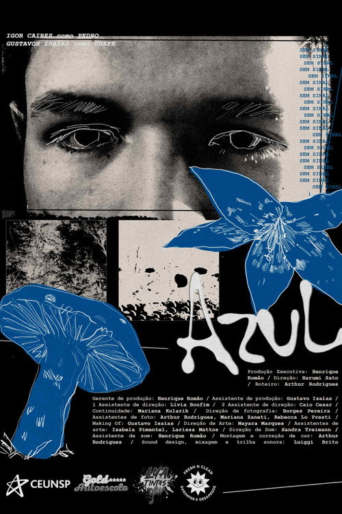 Azul poster