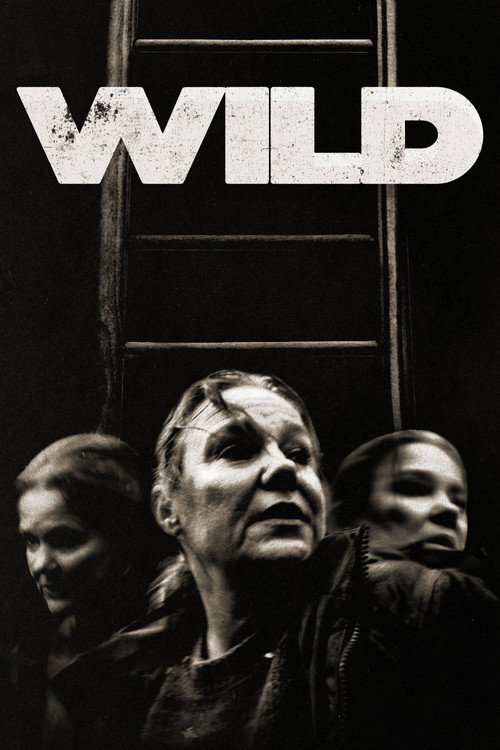 Wild poster