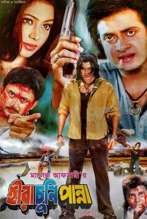 Hira Chuni Panna poster