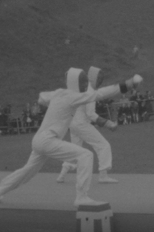 HOLYROOD PARK: Displays and Parade poster