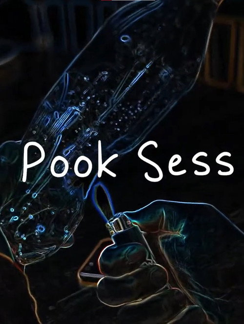 Pook Sess poster