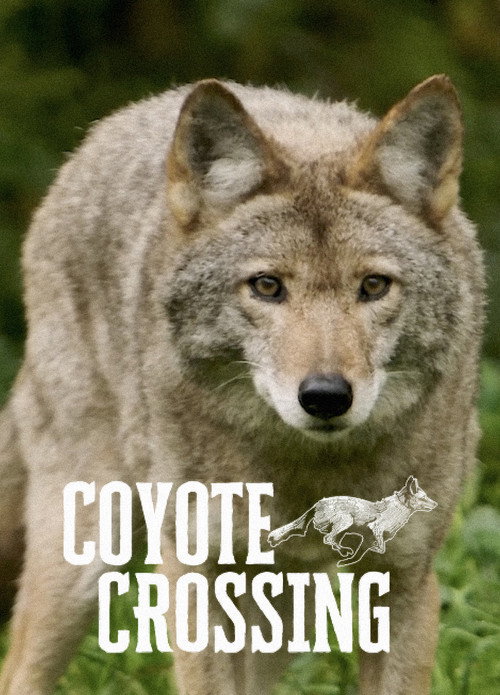 Coyote Crossing poster
