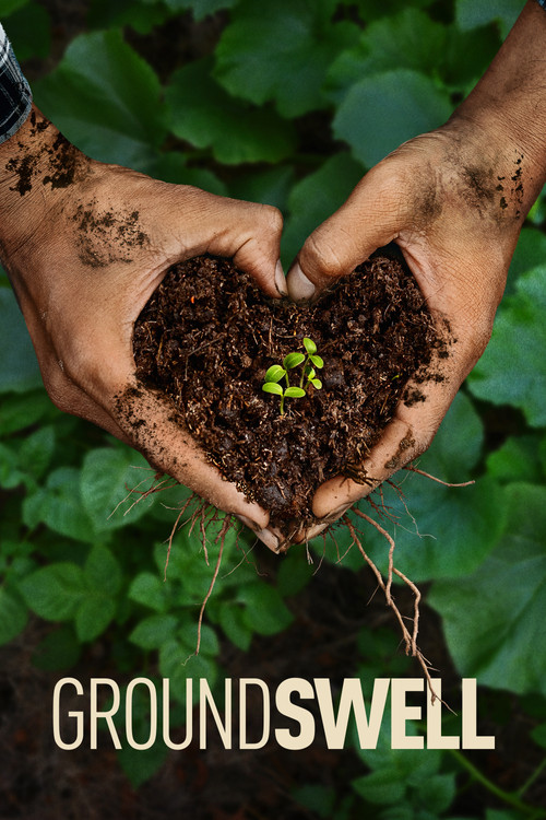 Groundswell poster