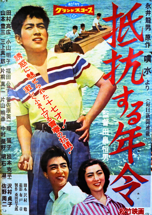 Age of Resistance poster
