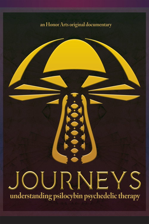 Journeys poster