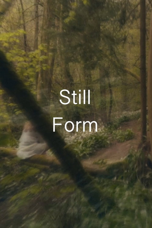 Still Form poster