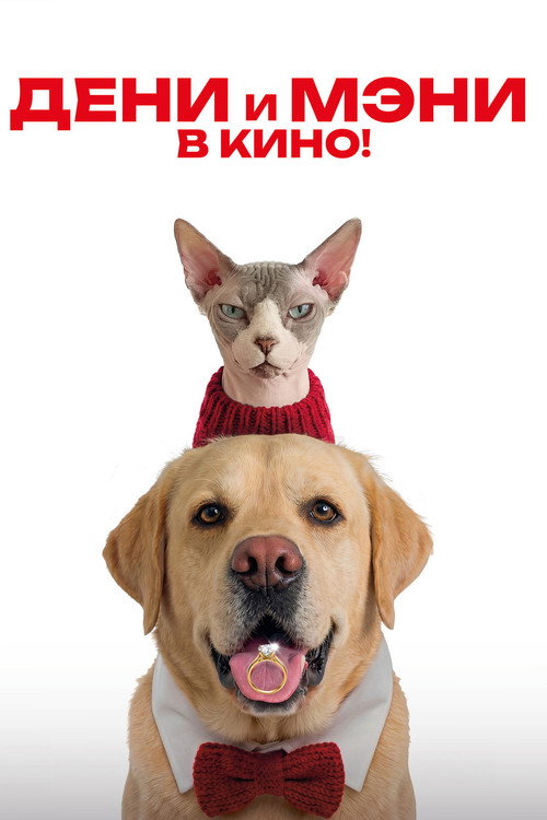 Дени и Мэни. В кино! poster