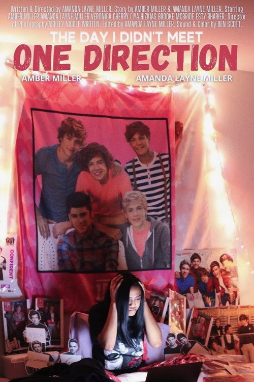 The Day I Didn't Meet One Direction poster