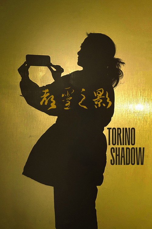 Torino Shadow poster