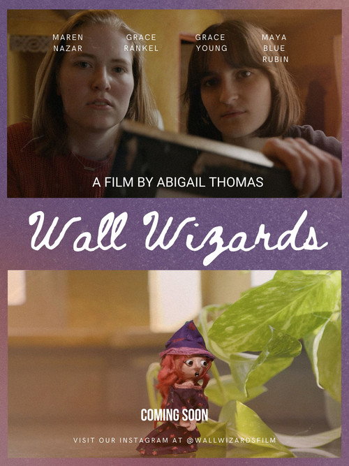 Wall Wizards poster