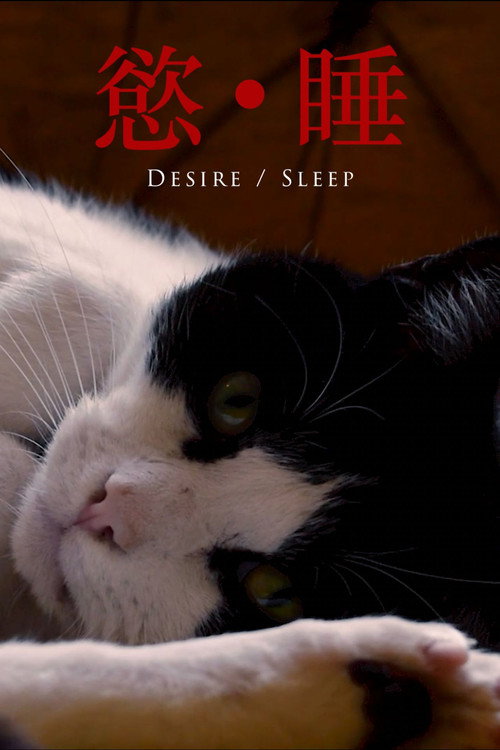 Desire/Sleep poster