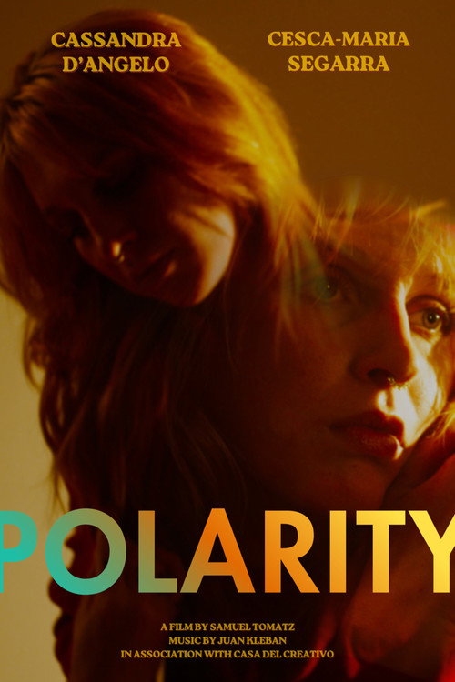 Polarity poster
