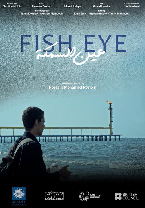 Fish Eye poster