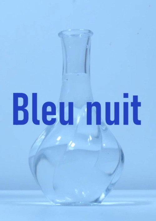 Bleu nuit poster