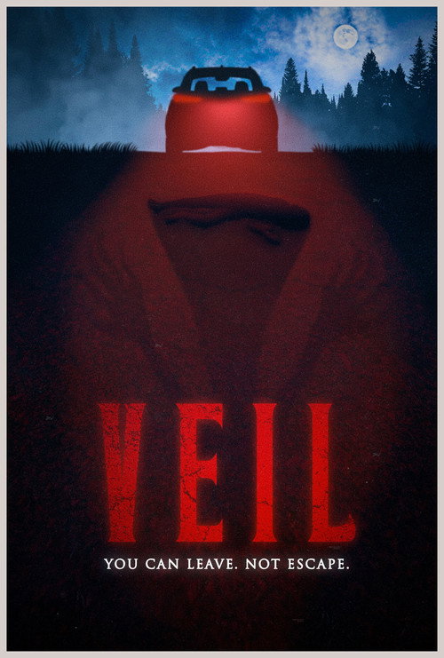 VEIL poster