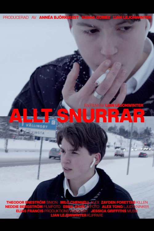 Allt Snurrar poster