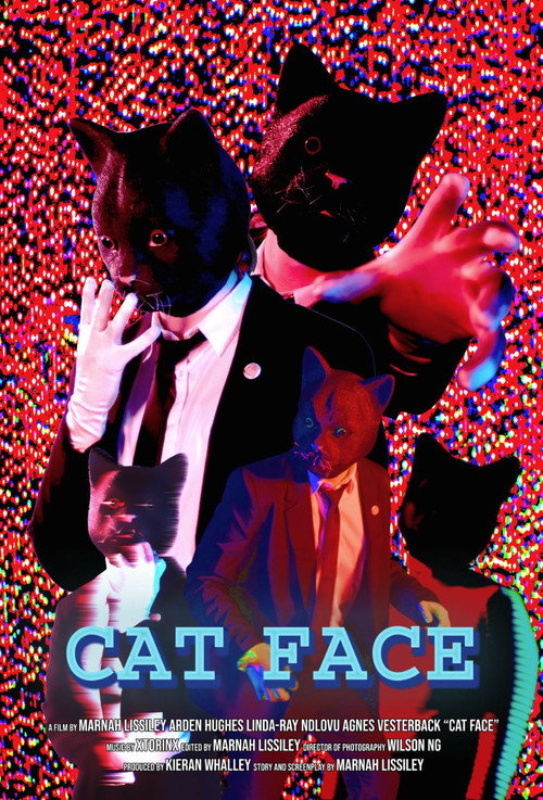 Cat Face poster