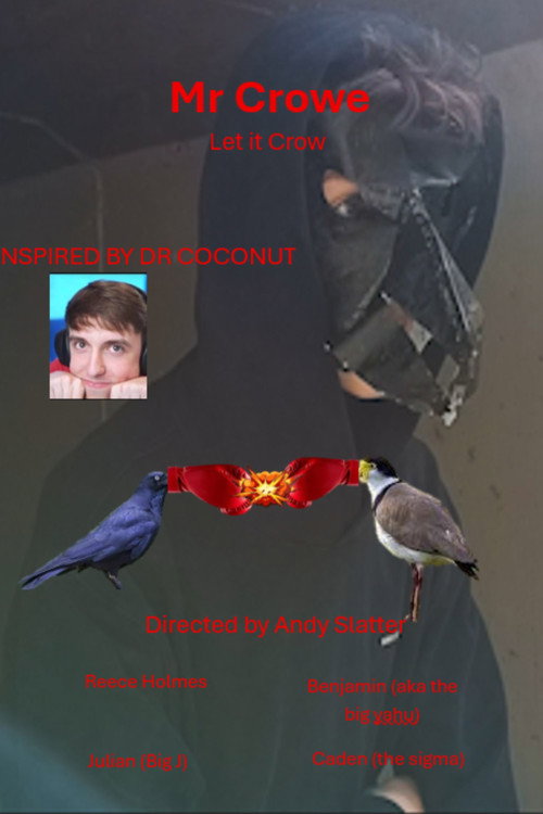 Mr Crowe poster
