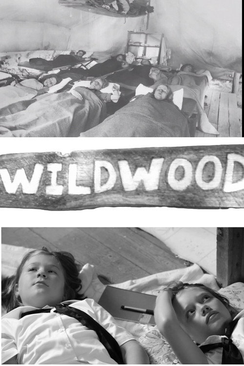 Wildwood poster