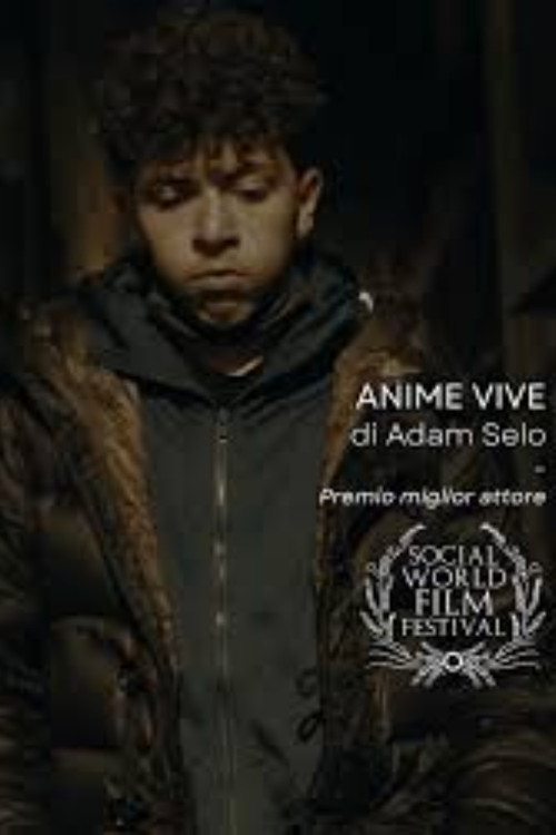 Anime Vive poster