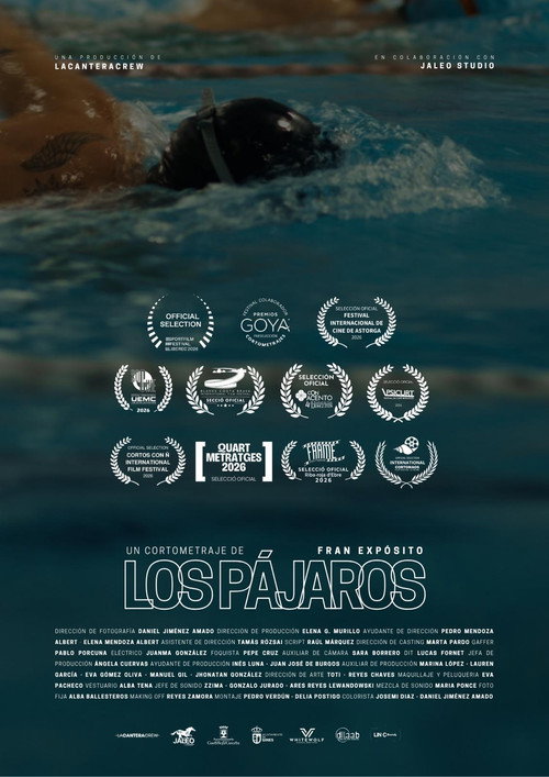Los pájaros poster