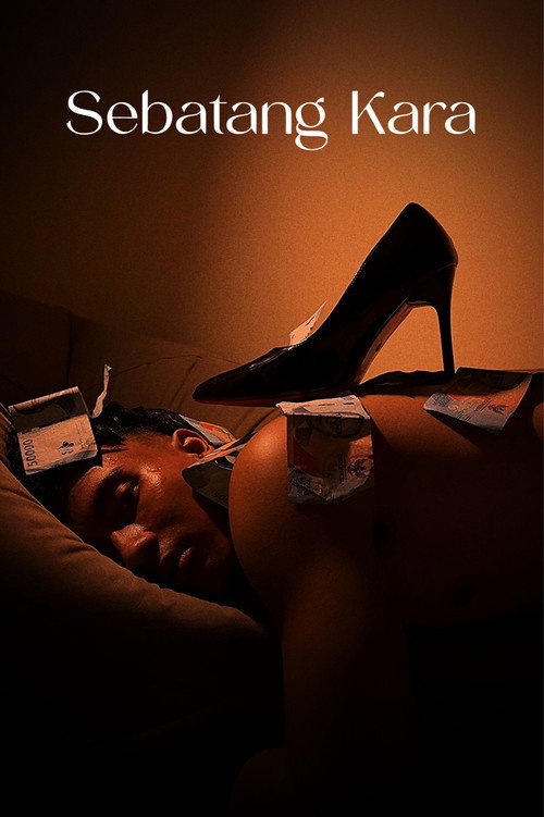 Nobody Else poster