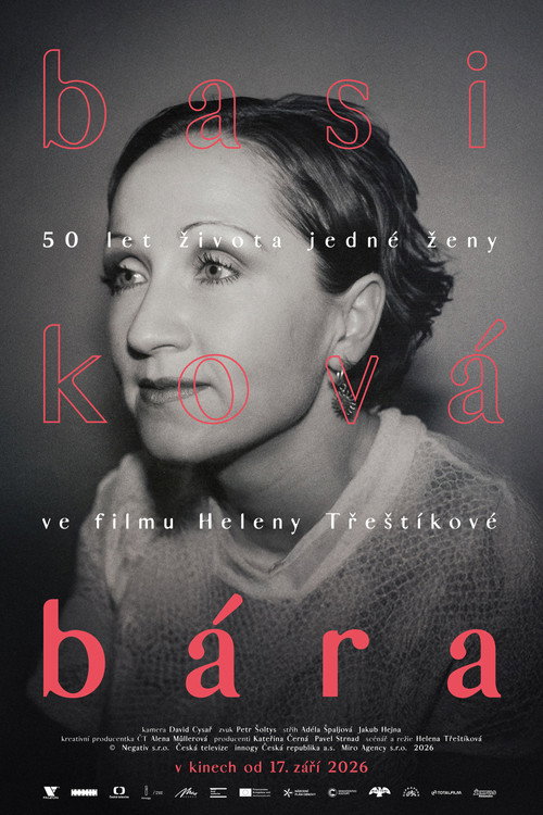 Bára - Diary of a Rockstar poster