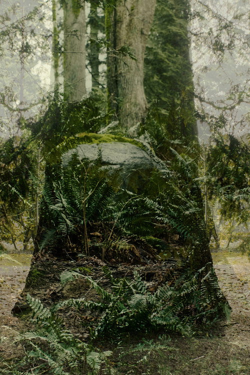 Vertical Remains poster